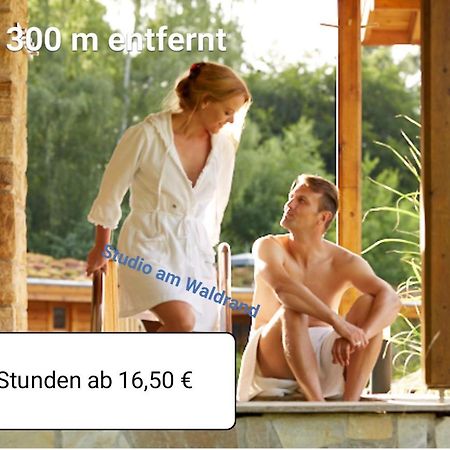 Studio Am Waldrand Wadgassen المظهر الخارجي الصورة